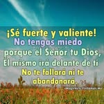 Adolfo José Tamara Bohorquez - @adolfotamarabohorquez - Instagram