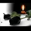 Tamara Boldi - @tamaraboldi - TikTok