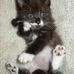Tamara Boring - Facebook