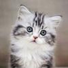 Tamarasboringlife - @tamarasboringlife0 - TikTok