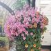 Tamara Bos - Facebook