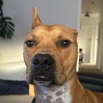 Tamara Boucher - @tamarajaneboucher - Instagram