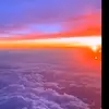 tamaraboveri5 - @tamaraboveri5 - TikTok