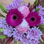 Tamara Boxall - Facebook