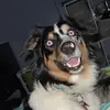 Tamara Boxrucker - @tamara_boxrucker - TikTok
