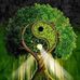 Tamara Boyer - Facebook