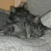 tamaralboyer - @tamaralboyer - TikTok
