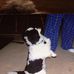 Tammy Bragg - Facebook