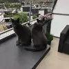 tamarabremer117 - @tamarabremer117 - TikTok