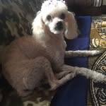 Tamara  Brent - @858tammyb - Instagram