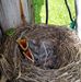 Tammy Brill Godar - Facebook