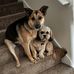 Tammy Broderick - Facebook