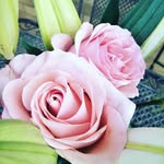 tamara - @tamarabrowne229 - Instagram
