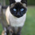 tamarabrowne0605 - @tamarabrowne0605 - Instagram