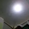 tamarabuana - @tamarabuana - TikTok