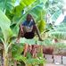 Tamala Banda - Facebook
