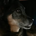 Tamara Bunke - @amores.perros.mundial - Instagram