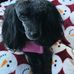 Tammy Burdick - Facebook