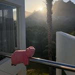 Tamara Burger - @misstravelpiggy - Instagram