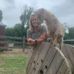 Tammy Burley-Fitzgerald - Facebook