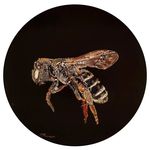 Tamara Burnett - @tams_portraits - Instagram