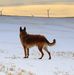 Tamara Burnett - Facebook