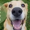 tamara burton - @tamara.burton0 - TikTok