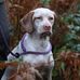 Tamara Byrne - Facebook