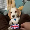 tamarabyrne86 - @tamarabyrne86 - TikTok