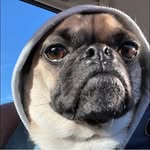 Tamara cameron - @tibblestitches - Instagram