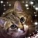 Tamra Cameron - Facebook