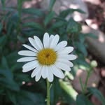 Tamara Anne Cantrell - @tamcan1970 - Instagram