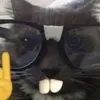 TamaraCantrell - @powlolag2rp - TikTok