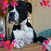 Tamara Carroll - Facebook