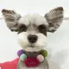 Tamara Chambers - @tamara.chambers6 - TikTok