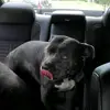 Tamara Chambers - @.tamarachambers931 - TikTok