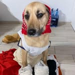 Charlotte_Tamara_Banicja - @charlotte_tamara_banicja - Instagram