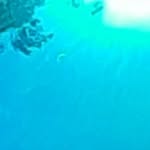 Tamara Charlotte BRANSON - @tamaracharlottebranson - Instagram