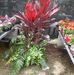 Tamara Cline - Facebook
