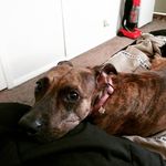 Tamara Cody - @tamaracody6046 - Instagram