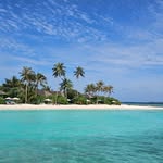 Tamara O'Connor - @tamara_neve_oconnor - Instagram