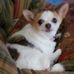 Tammy Corrigan - Facebook