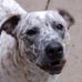 Tamara Zeiger Coyne - Facebook