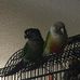 Tamara Craddock - Facebook