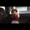 Tamara Davidson - @tamaradavidson6 - TikTok