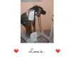 Tamara Davidson - @tamara.davidson4 - TikTok