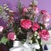 Tammy Denning - Facebook