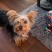Tamara Pitkin Dukes - Facebook