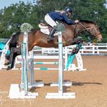 Tamara Egglestone Equestrian - @tamaraegglestone.eq - Instagram