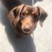 Tami Eggleston - Facebook